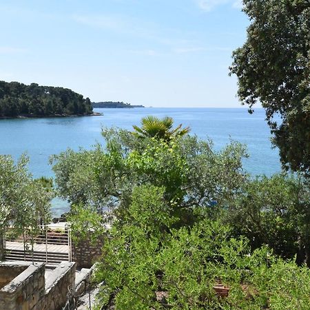 Buric House - Apartments Klasik And Studio Mini Rovinj Eksteriør billede