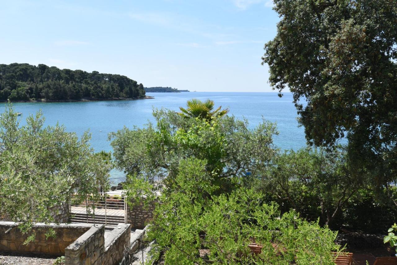 Buric House - Apartments Klasik And Studio Mini Rovinj Eksteriør billede